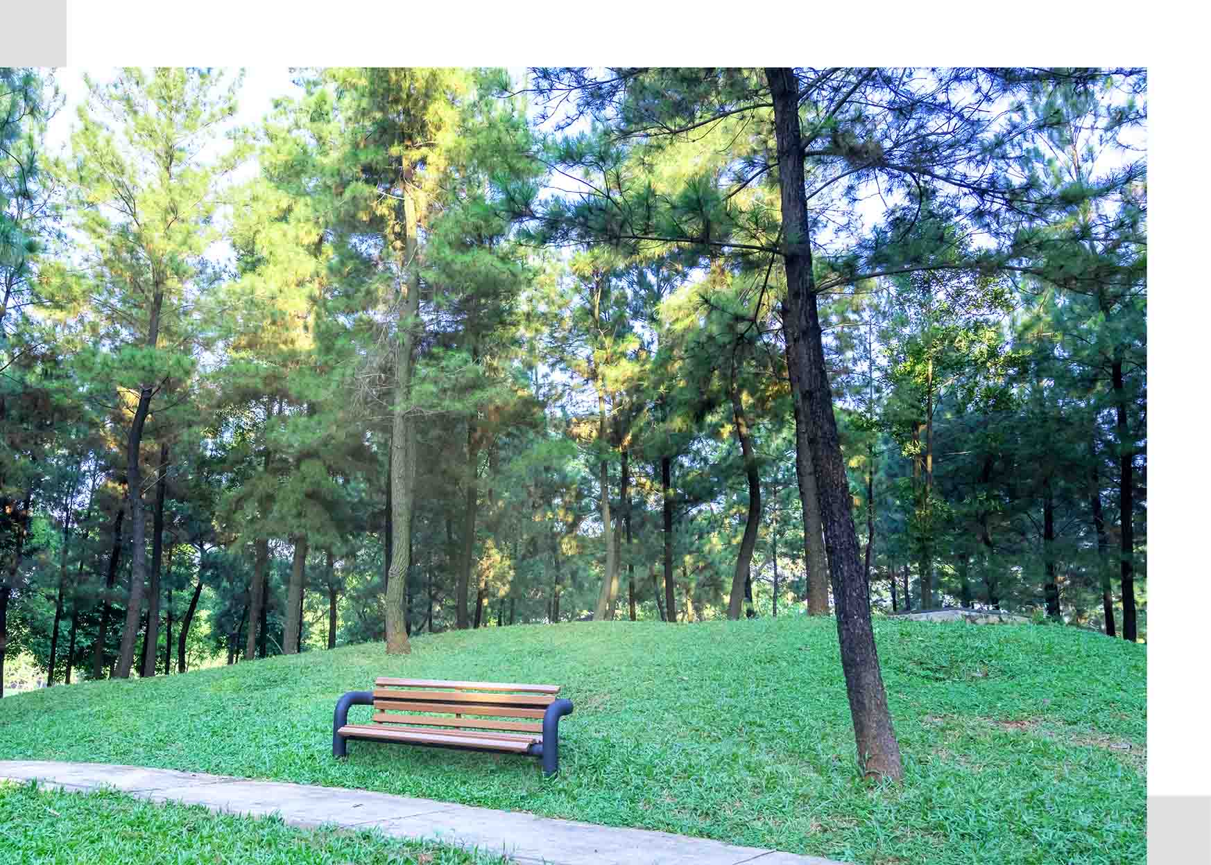 Gambar taman di daerah Bintaro Jaya