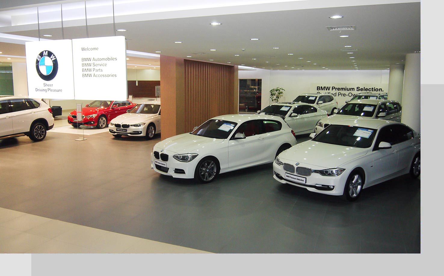 BMW Dealer